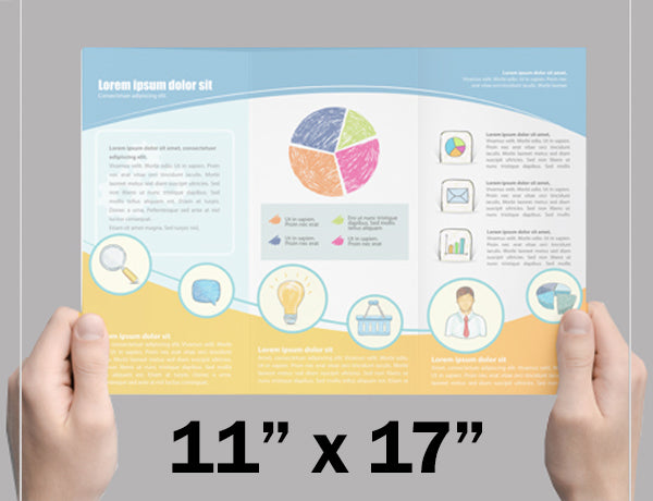 Brochures / Menus: 11 x 17